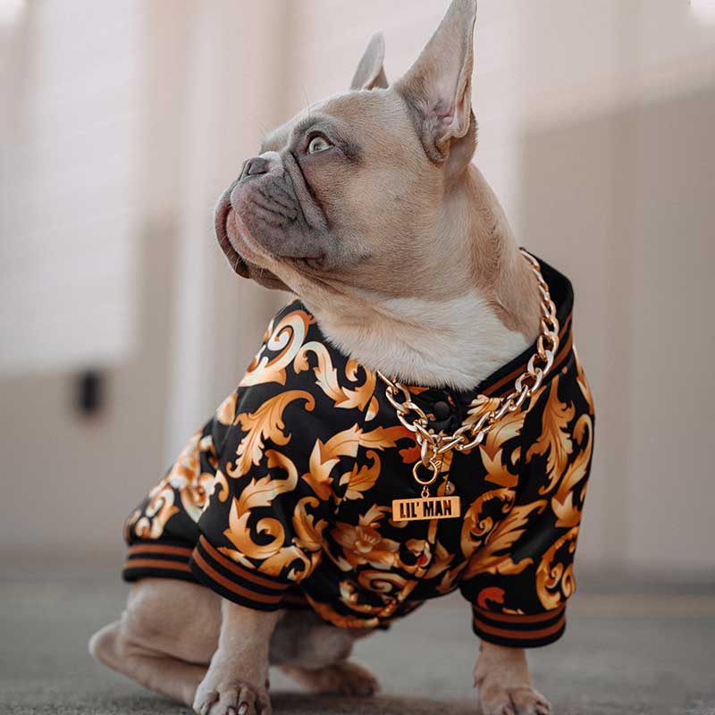 Pet Clothes