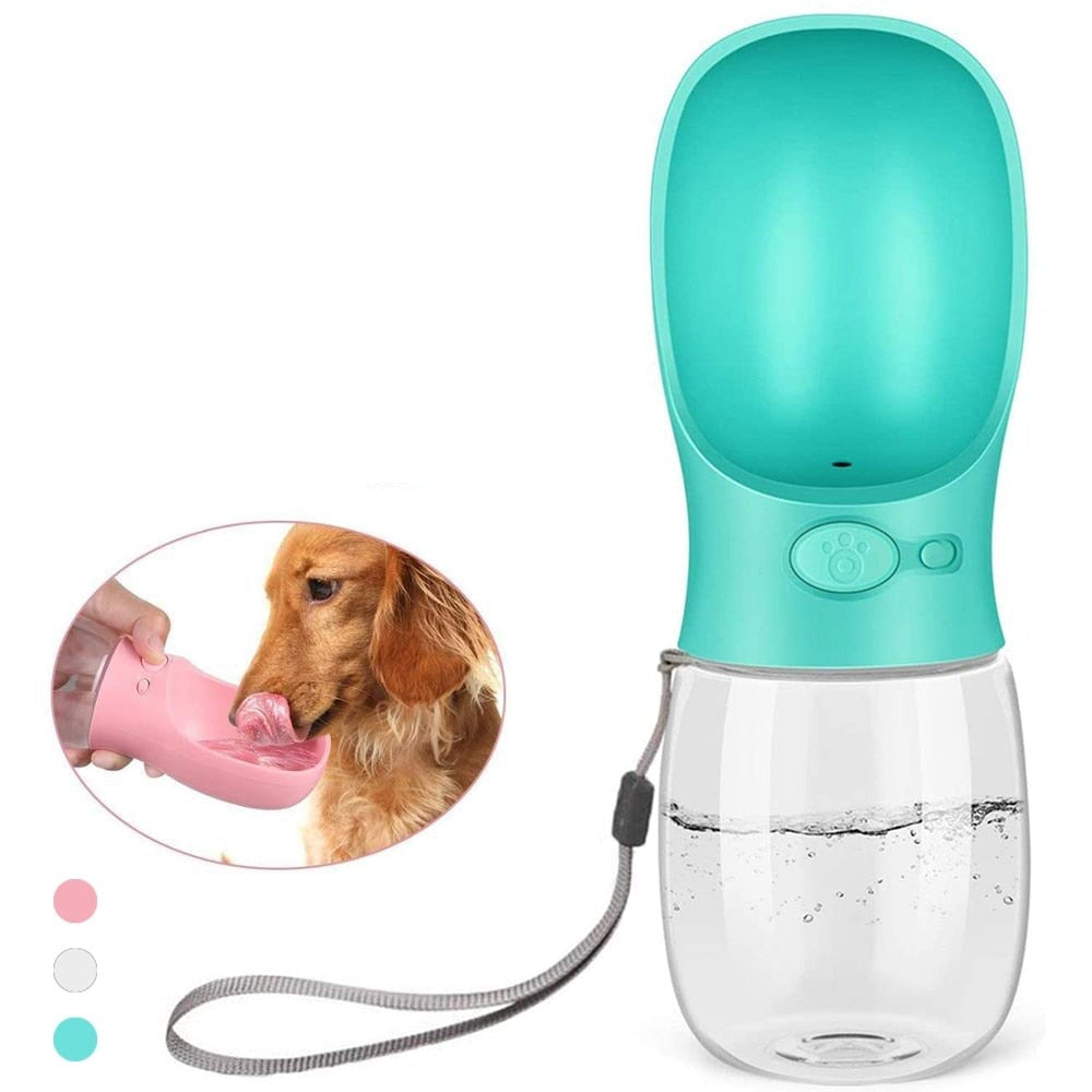 Pet Outdoor Water Dispenser